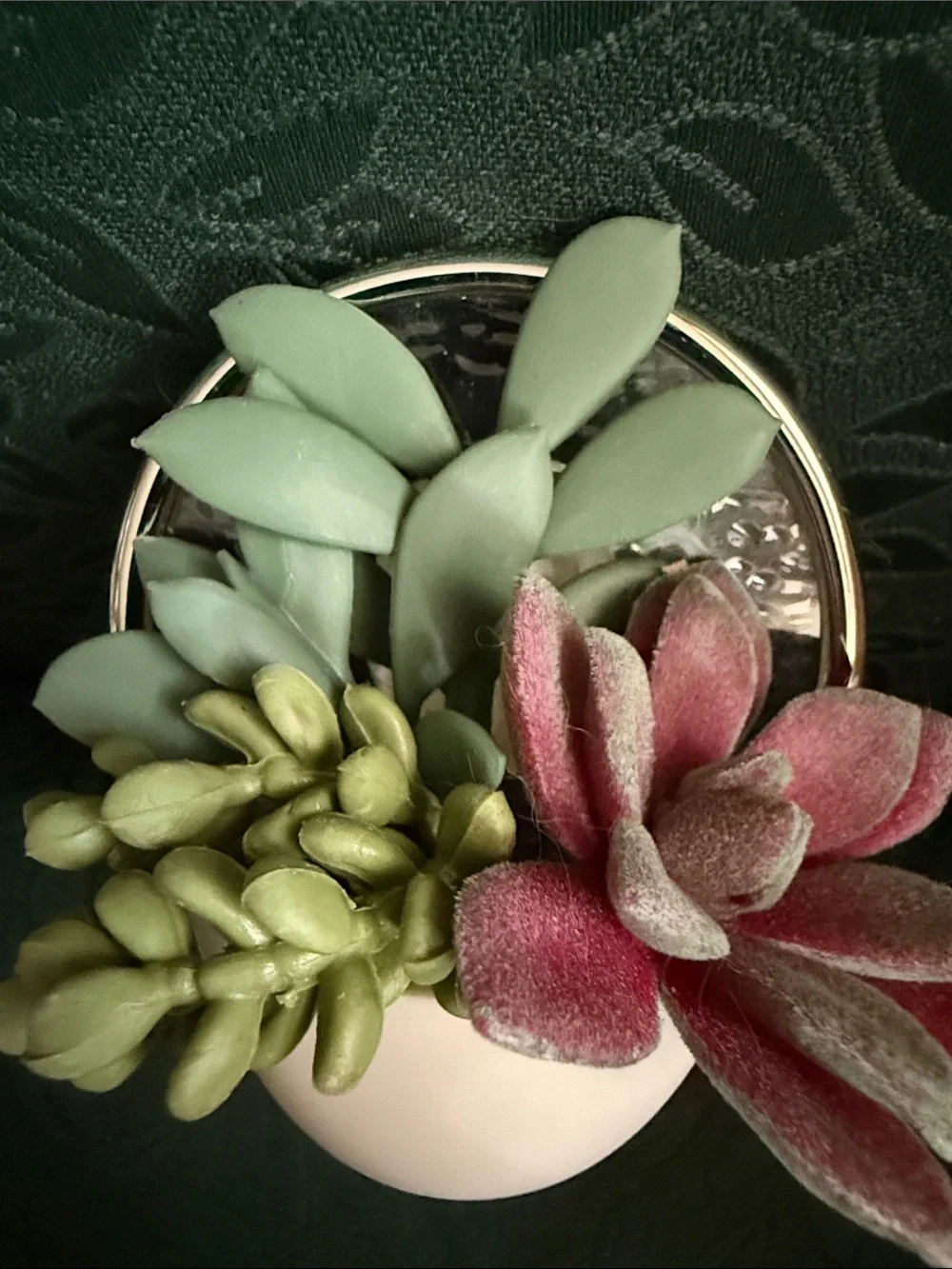 NWT Bath & Body Works Succulent Plants with Green Foliage.  Scent Control light.